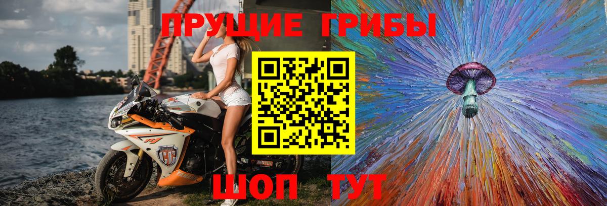 Псилоцибиновые грибы Psilocybe Грязи